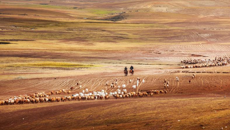 下一个顶流?《我的阿勒泰》提前带火新疆旅游